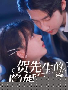 贺先生的隐婚蜜爱