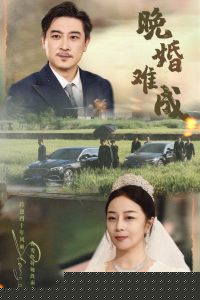 晚婚难成