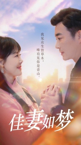 佳妻如梦短剧